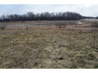 Property photo 17 - 127 Acres Offered in 8 Tracts - Allen & Dekalb County Land